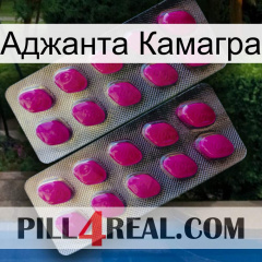 Аджанта Камагра 10